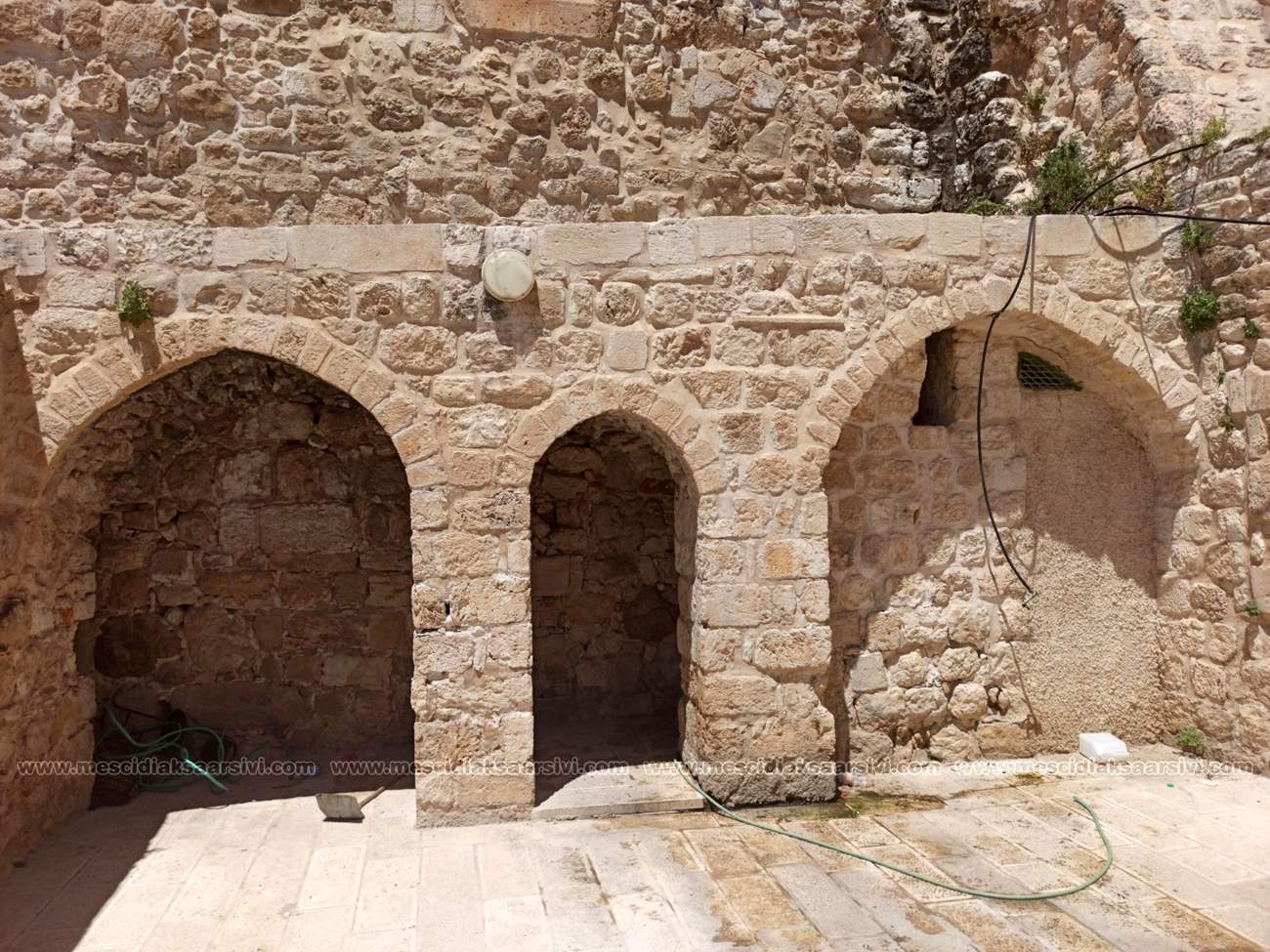 Image 13