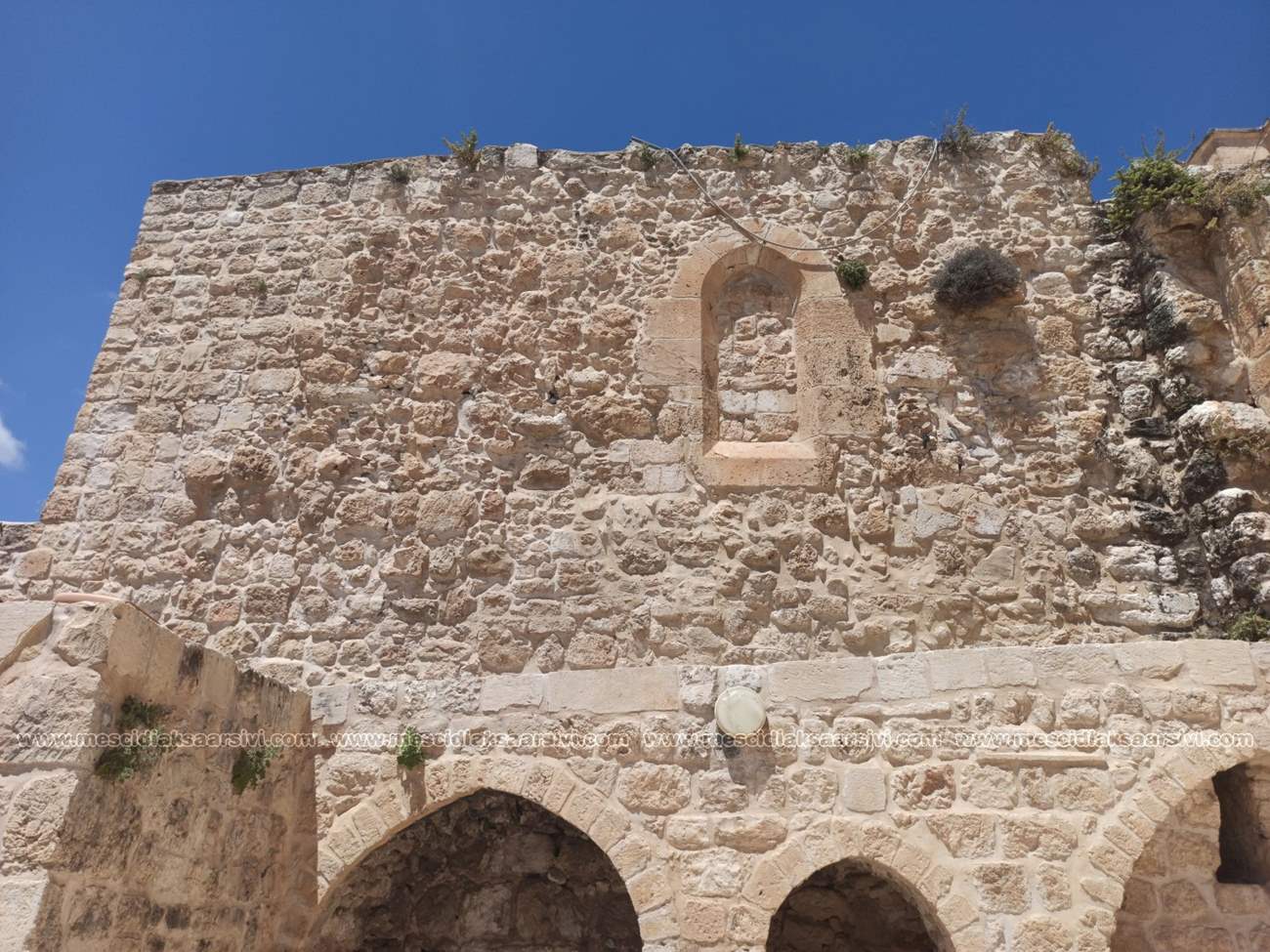 Image 14