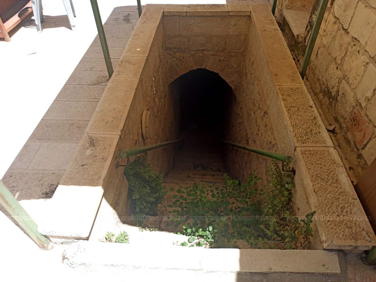 Image 19