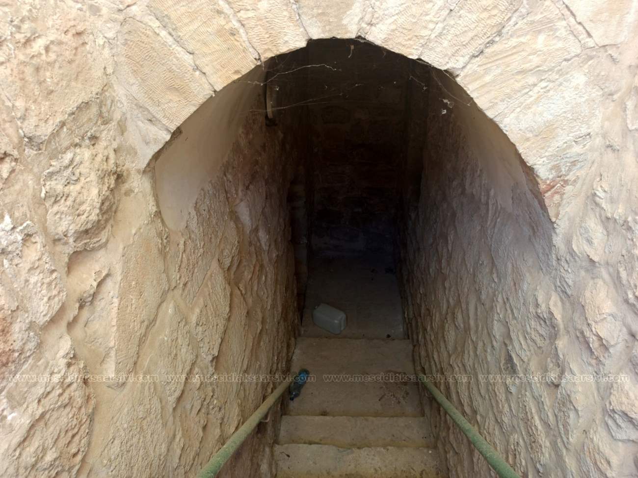 Image 20