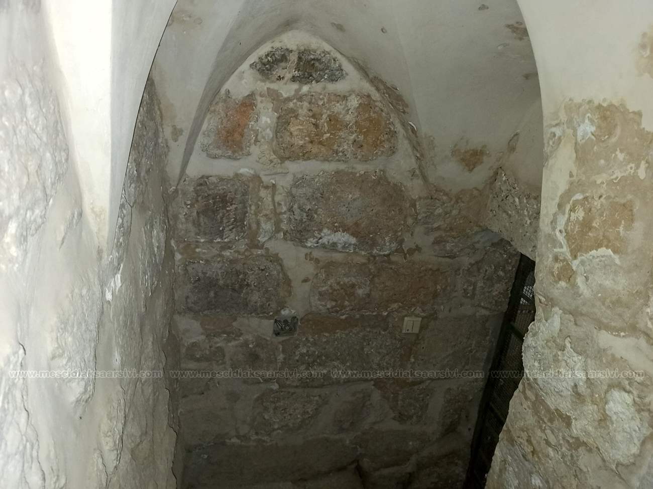 Image 21