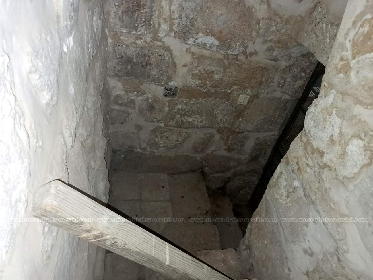 Image 22