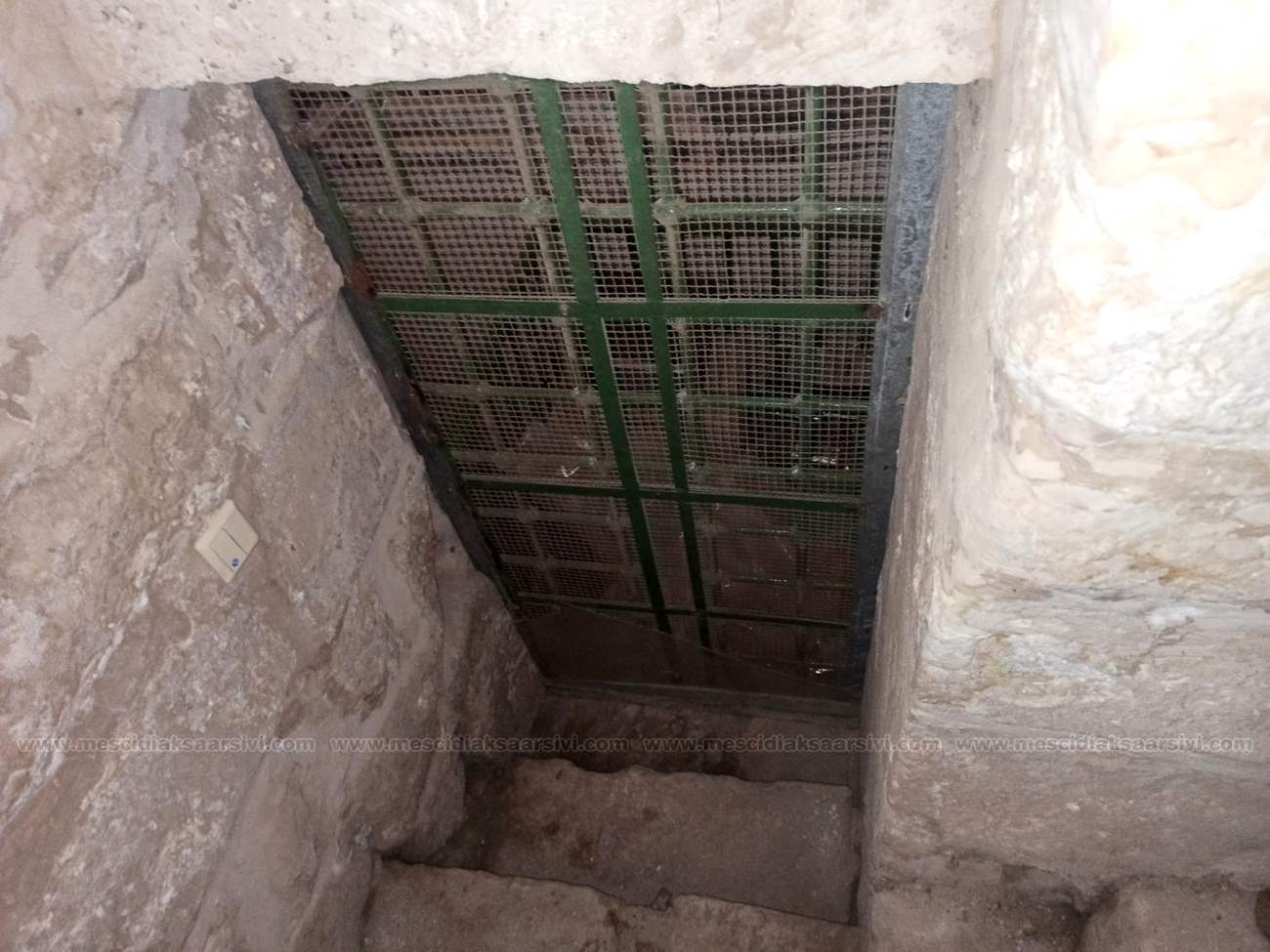 Image 23