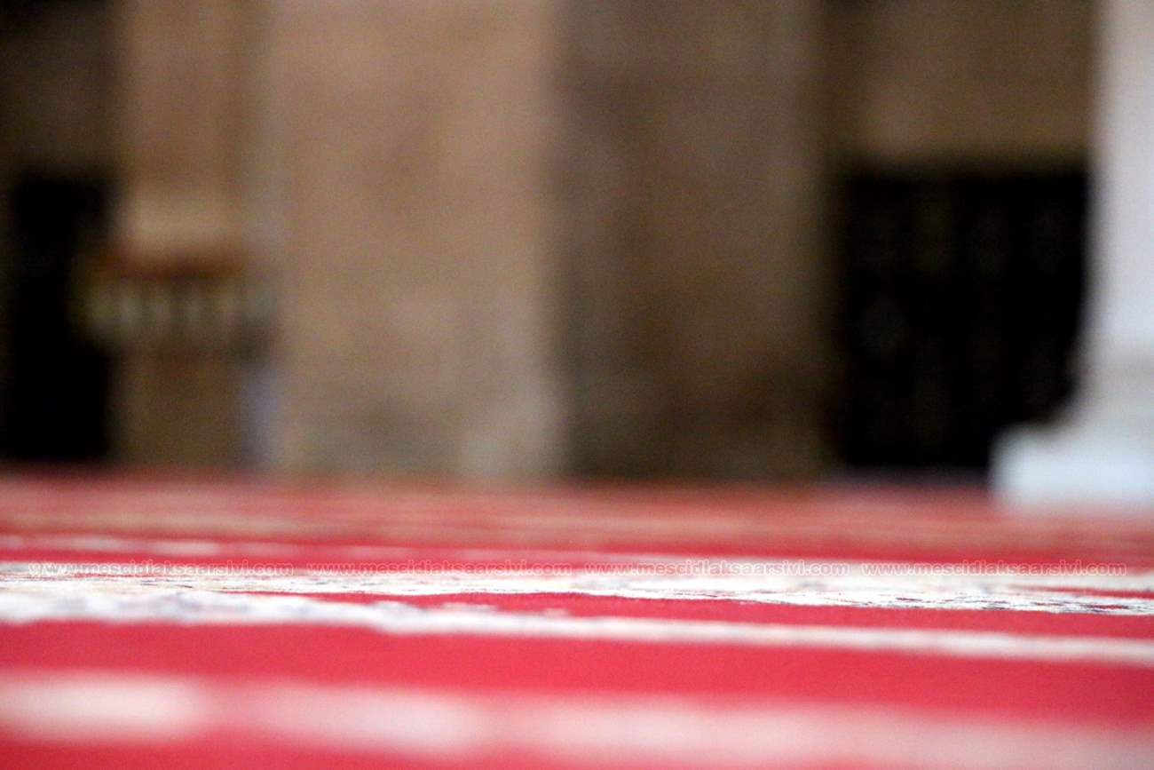 Image 100
