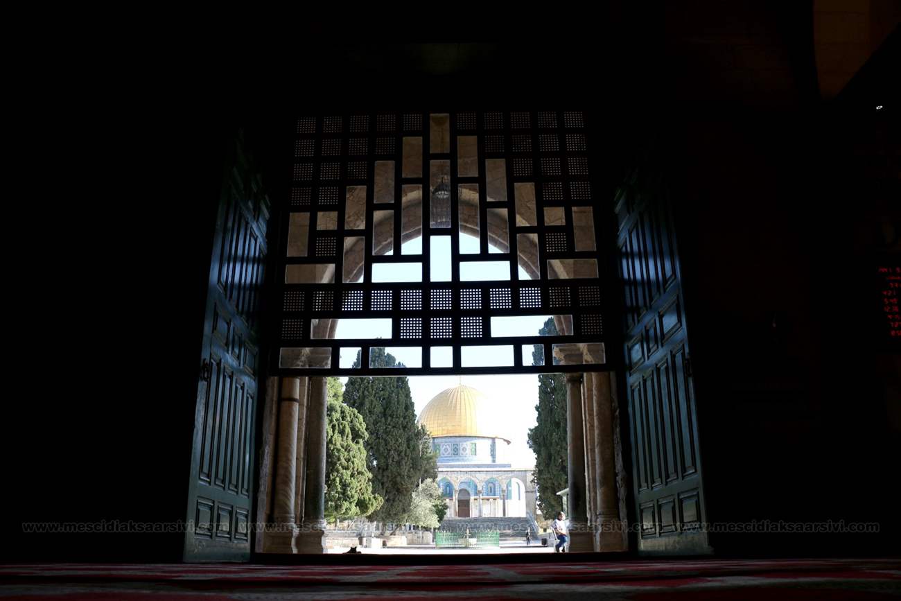 Image 21