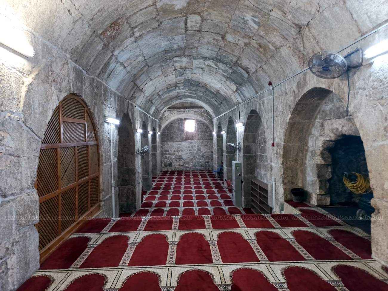 Image 10