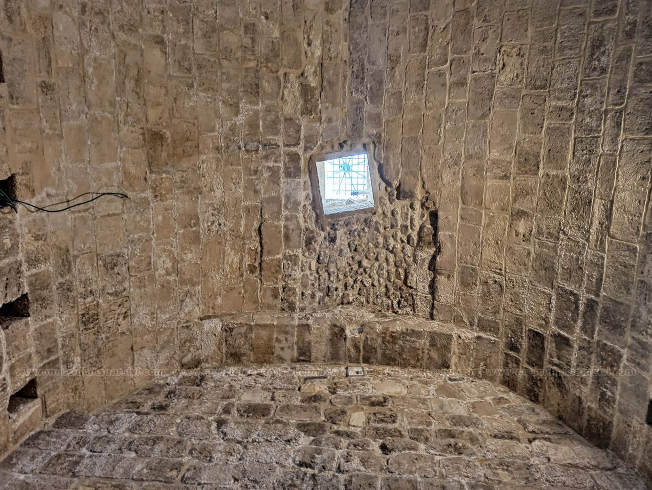 Image 46