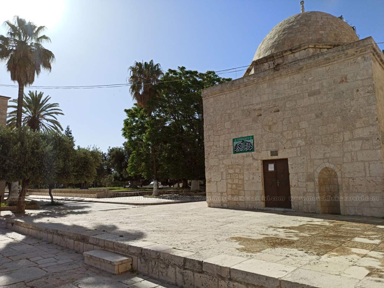 Image 10